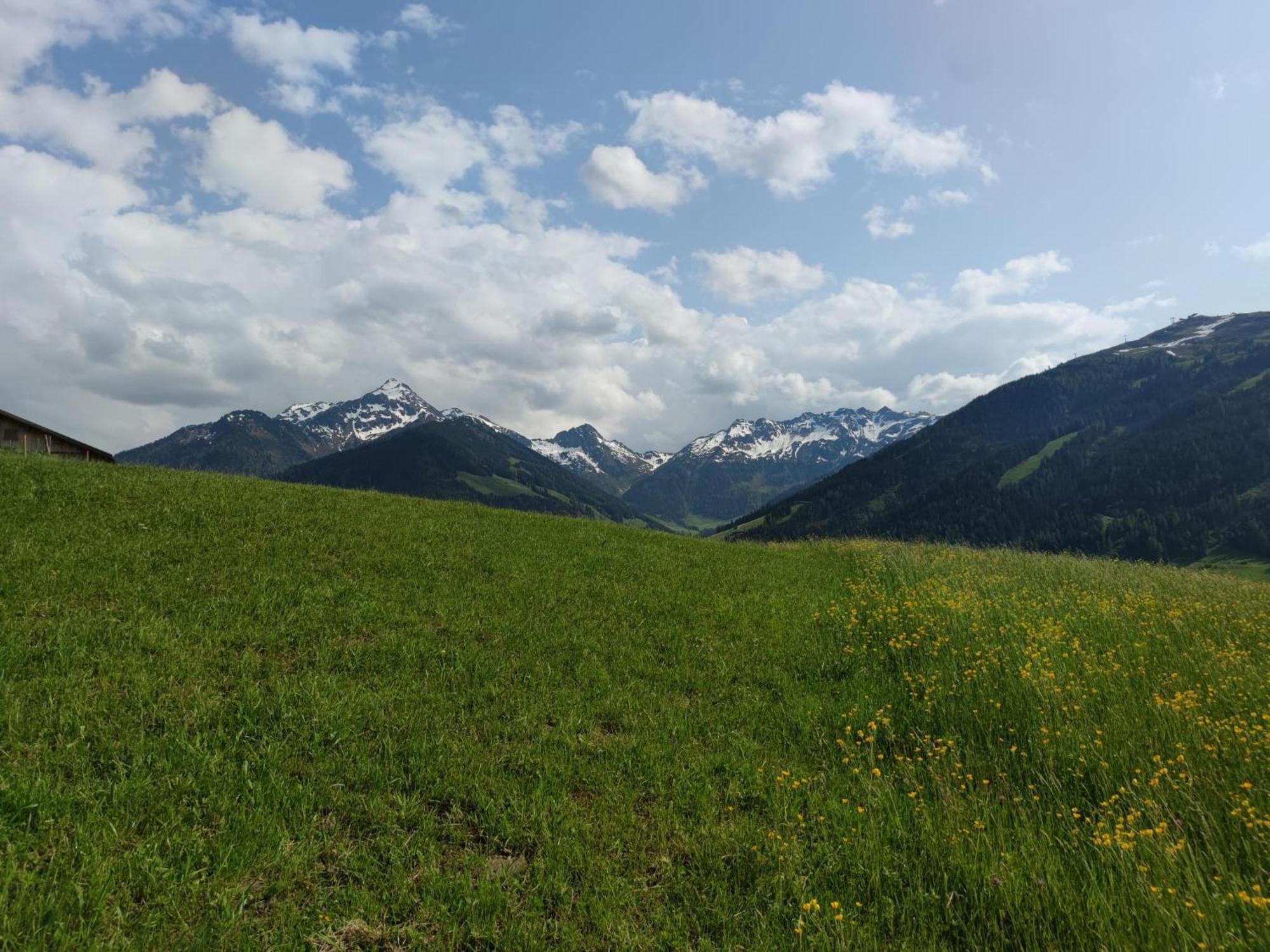 Chalet Mountain View 알프바취 외부 사진